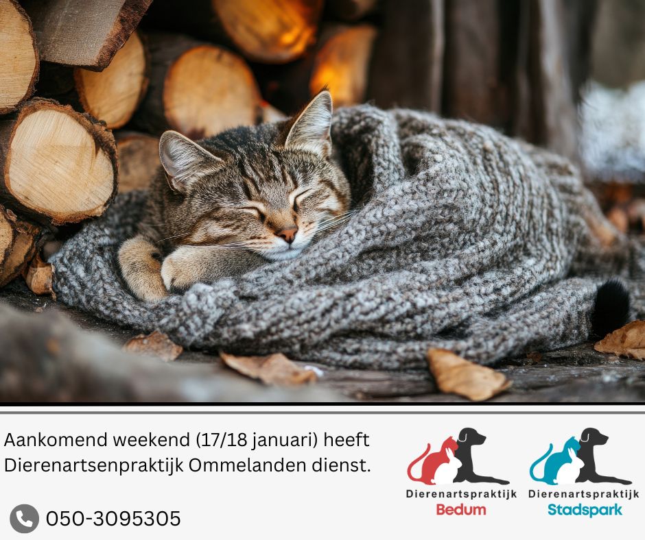 Copy of Copy of Copy of Ivory Simple Positive Motivational Quote Ripped Facebook Post