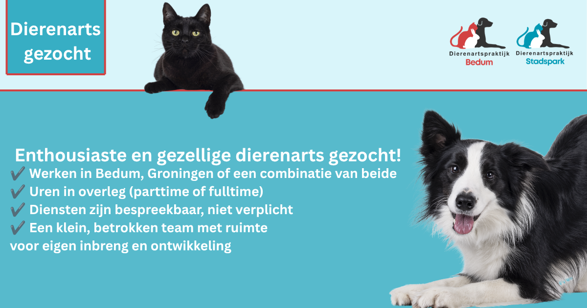 Dierenarts gezocht