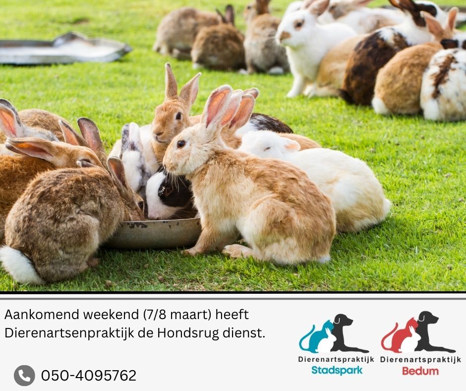 Weekenddienst Bedum Stadspark