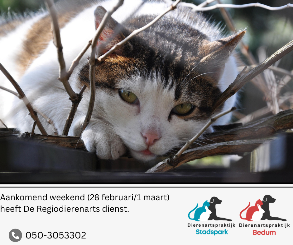 Weekenddienst Bedum Stadspark