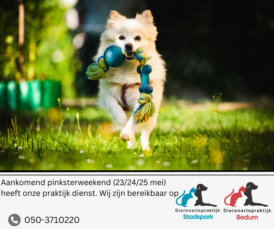 Weekenddienst Bedum Stadspark 11