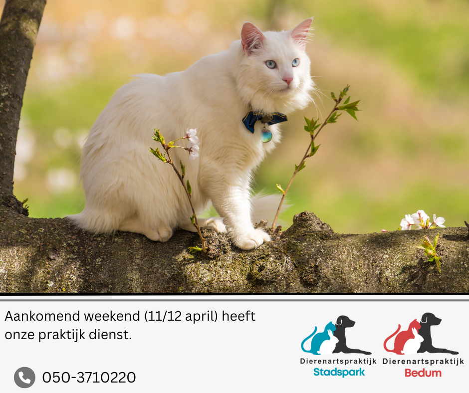 Weekenddienst Bedum Stadspark 4