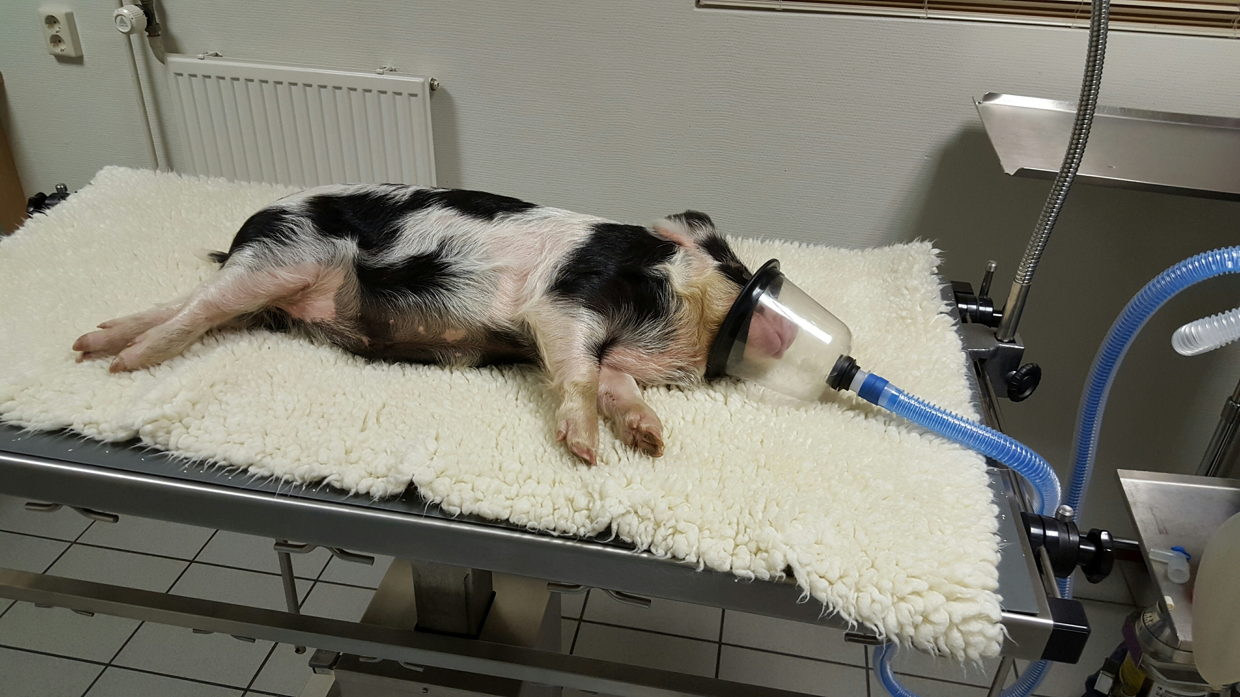 20151105 095017 resized