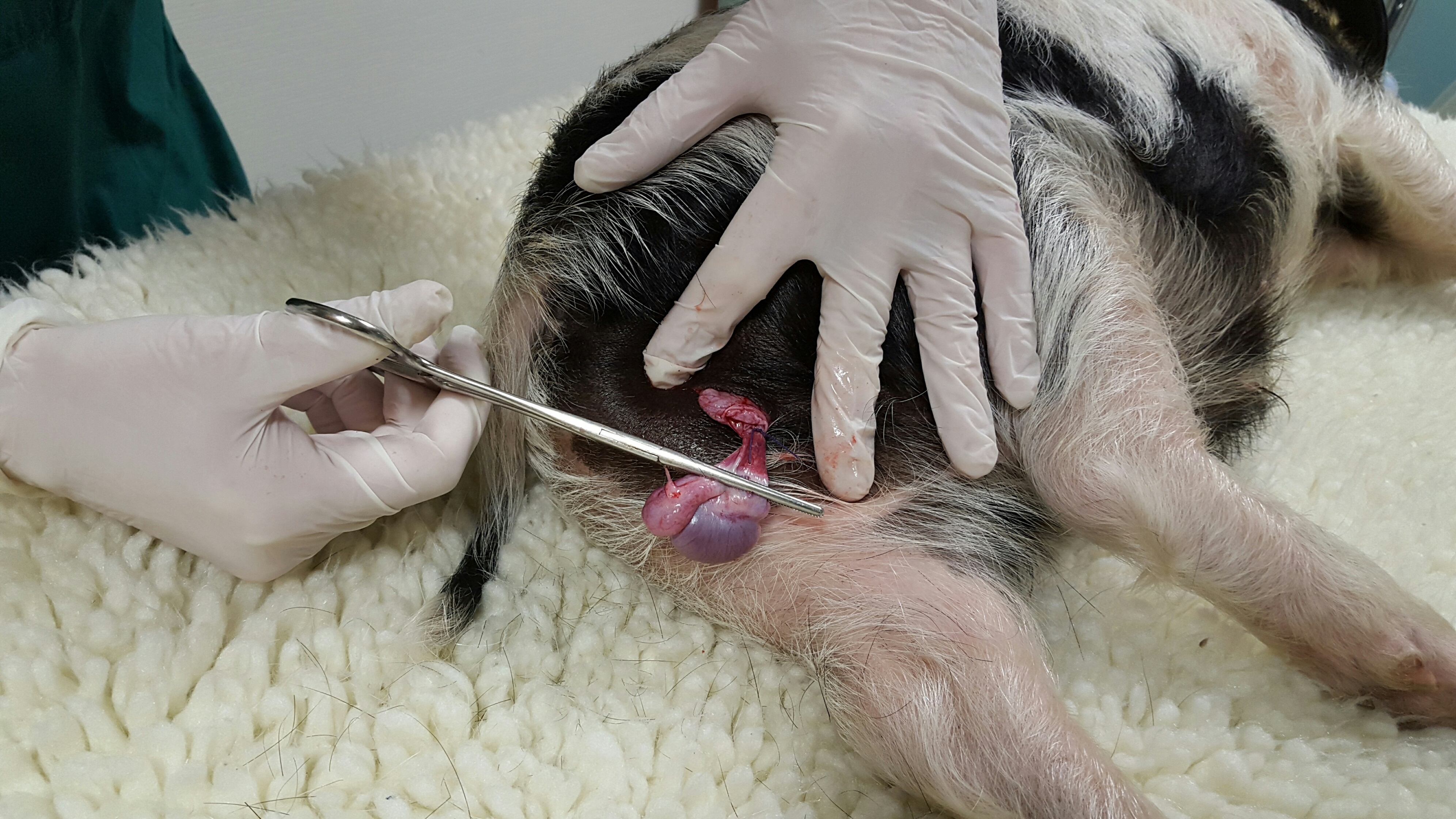 20151105 095542 resized