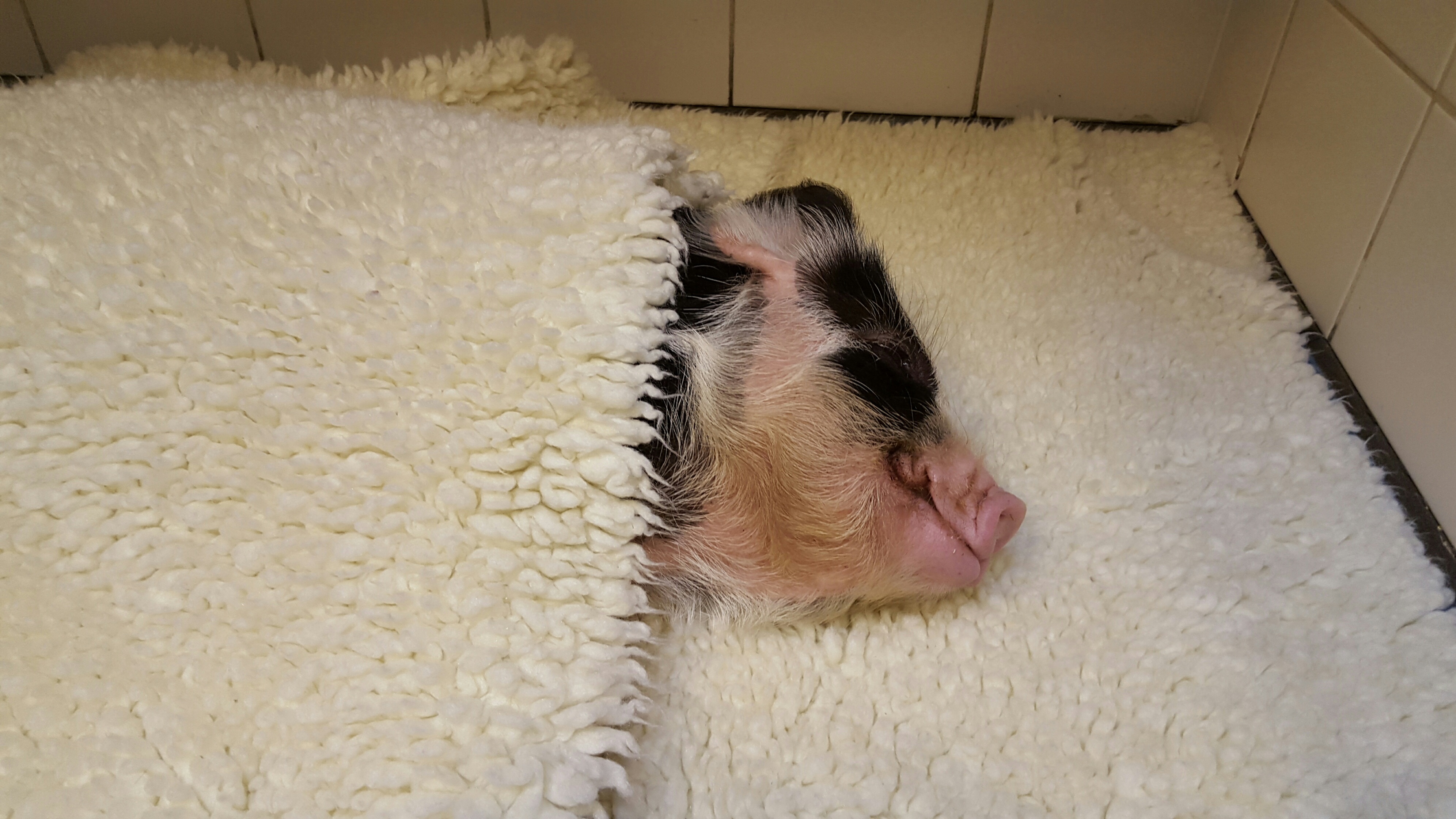 20151105 100335 resized