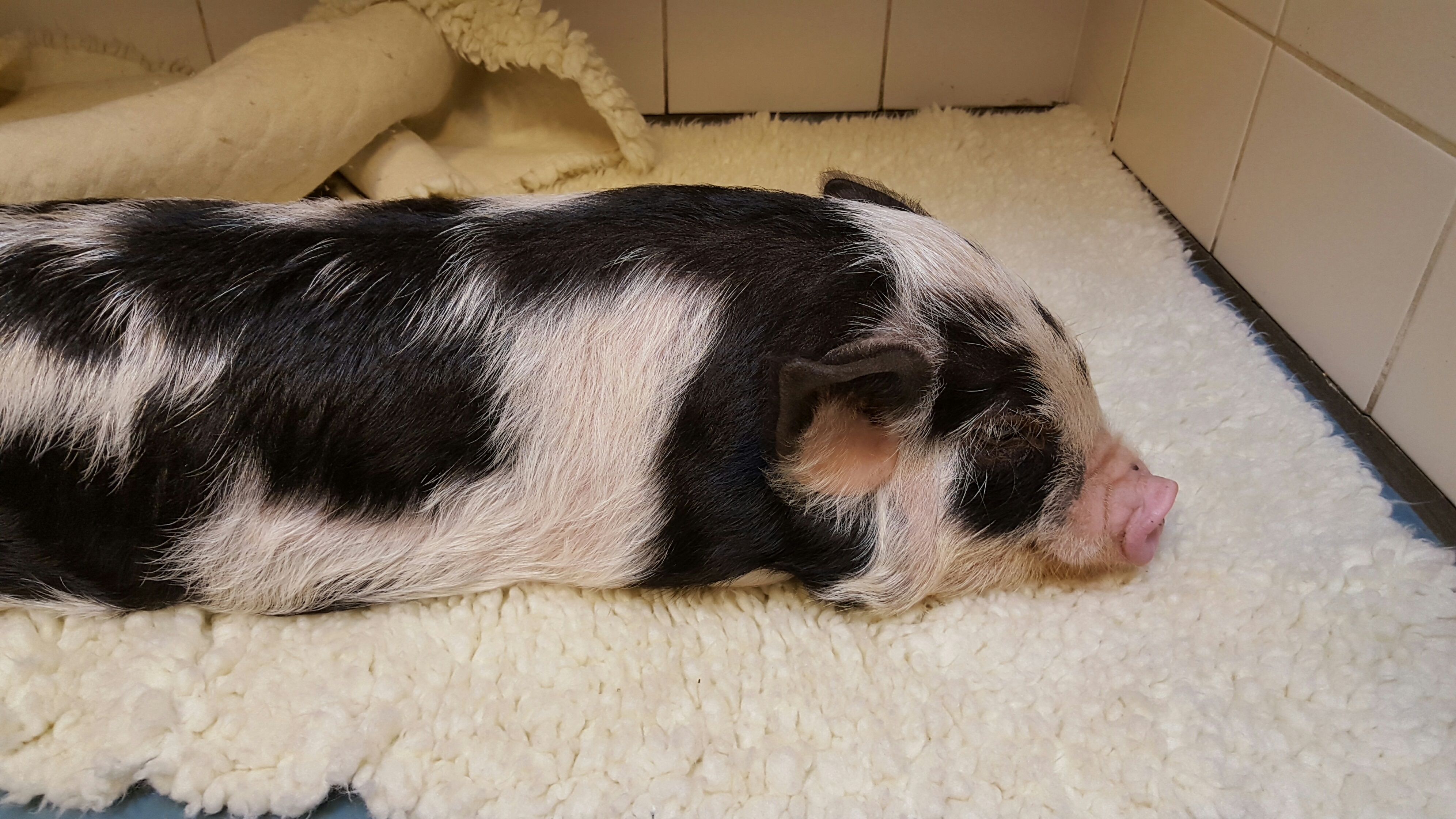 20151105 113503 resized