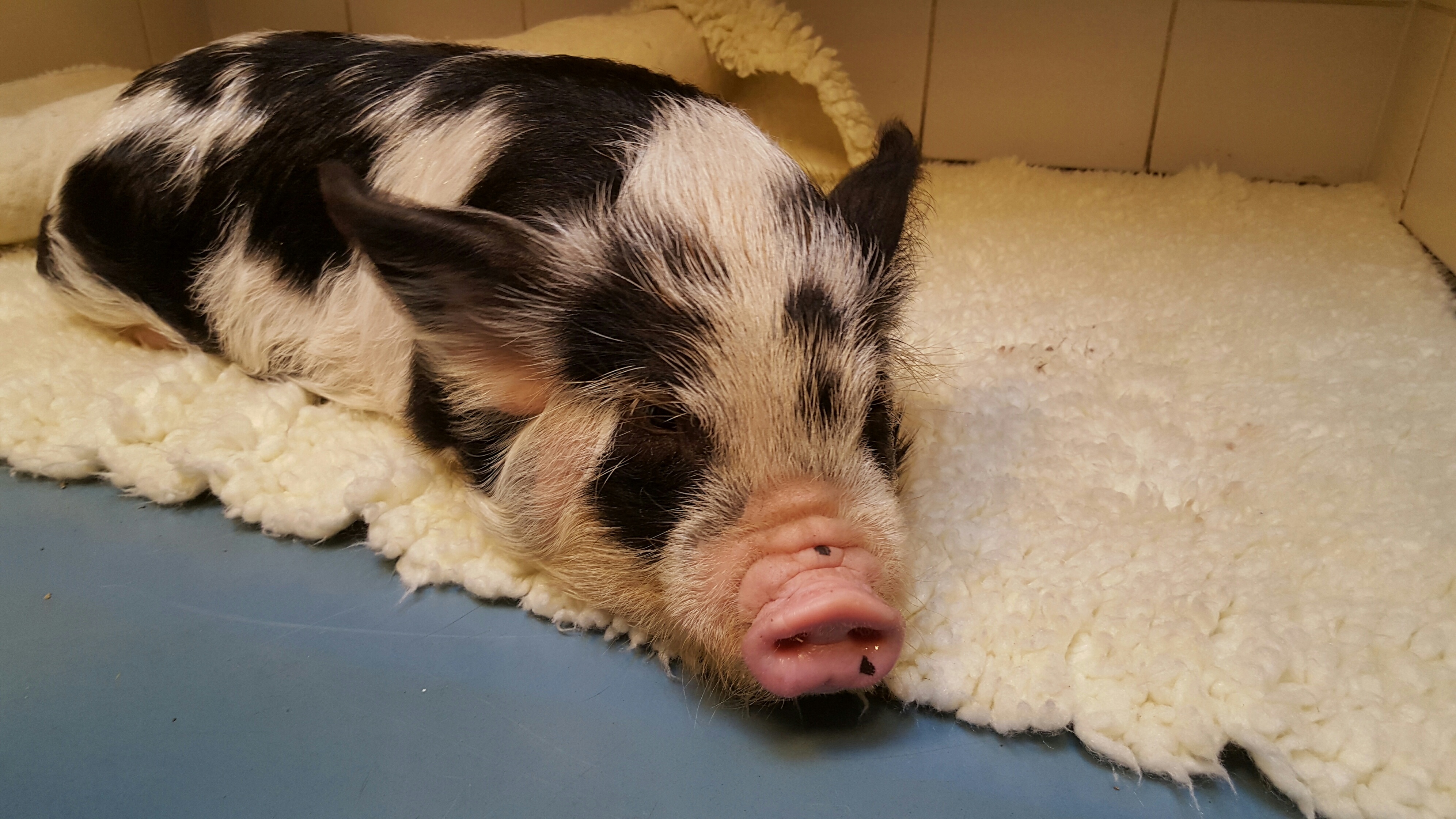 20151105 113522 resized