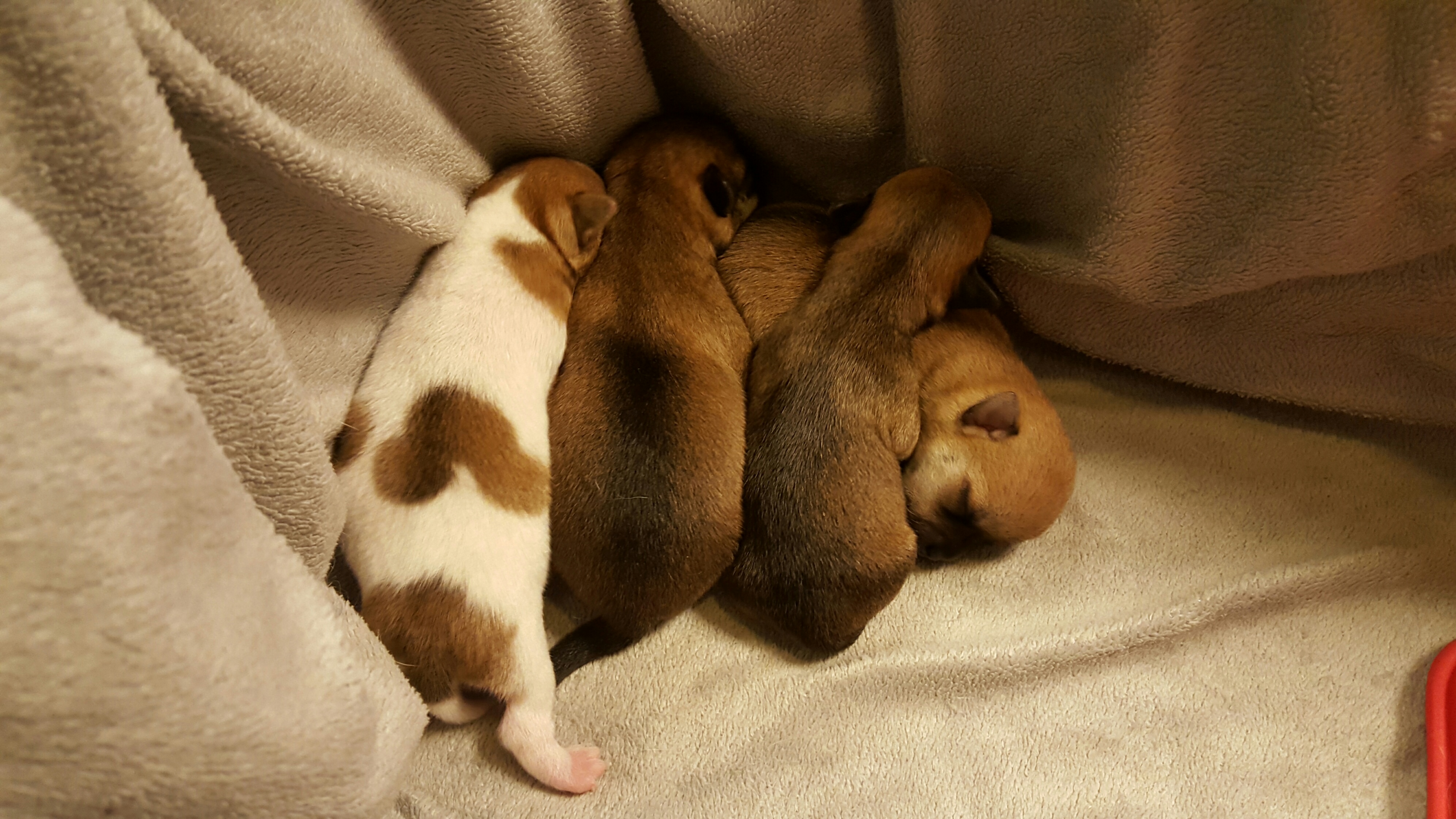 20160309 175056 resized