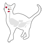 cat_niesziekte