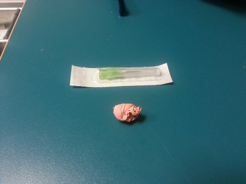 KittenballondarmBalou2