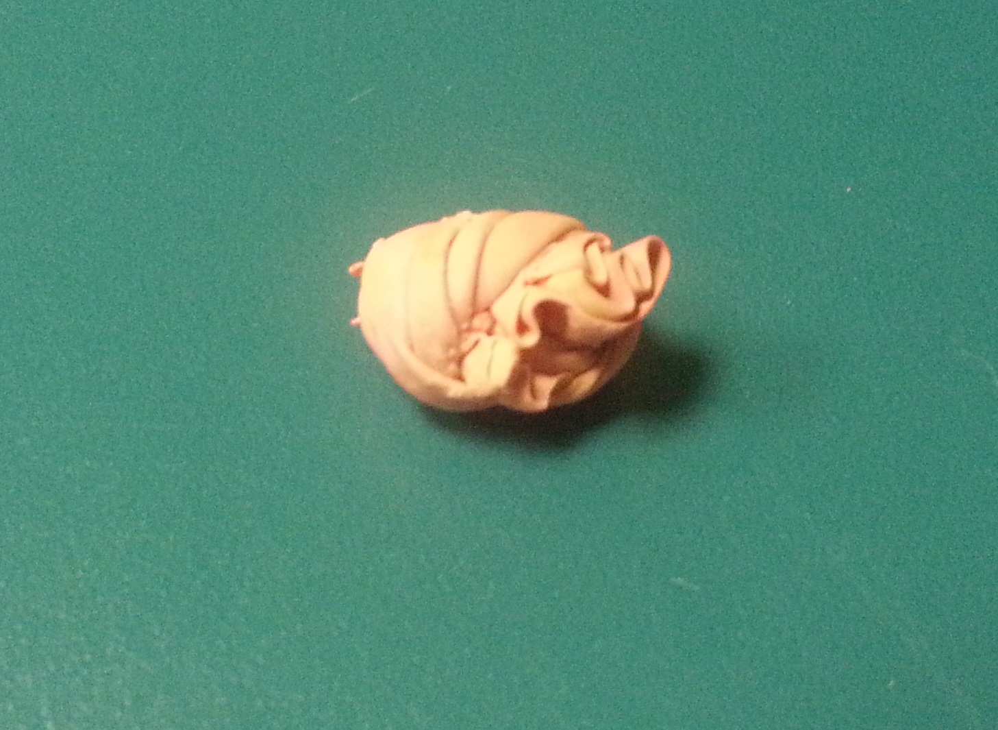 KittenballondarmBalou9